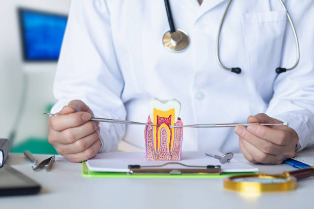 Best Emergency Broken Tooth Repair in Briar, TX